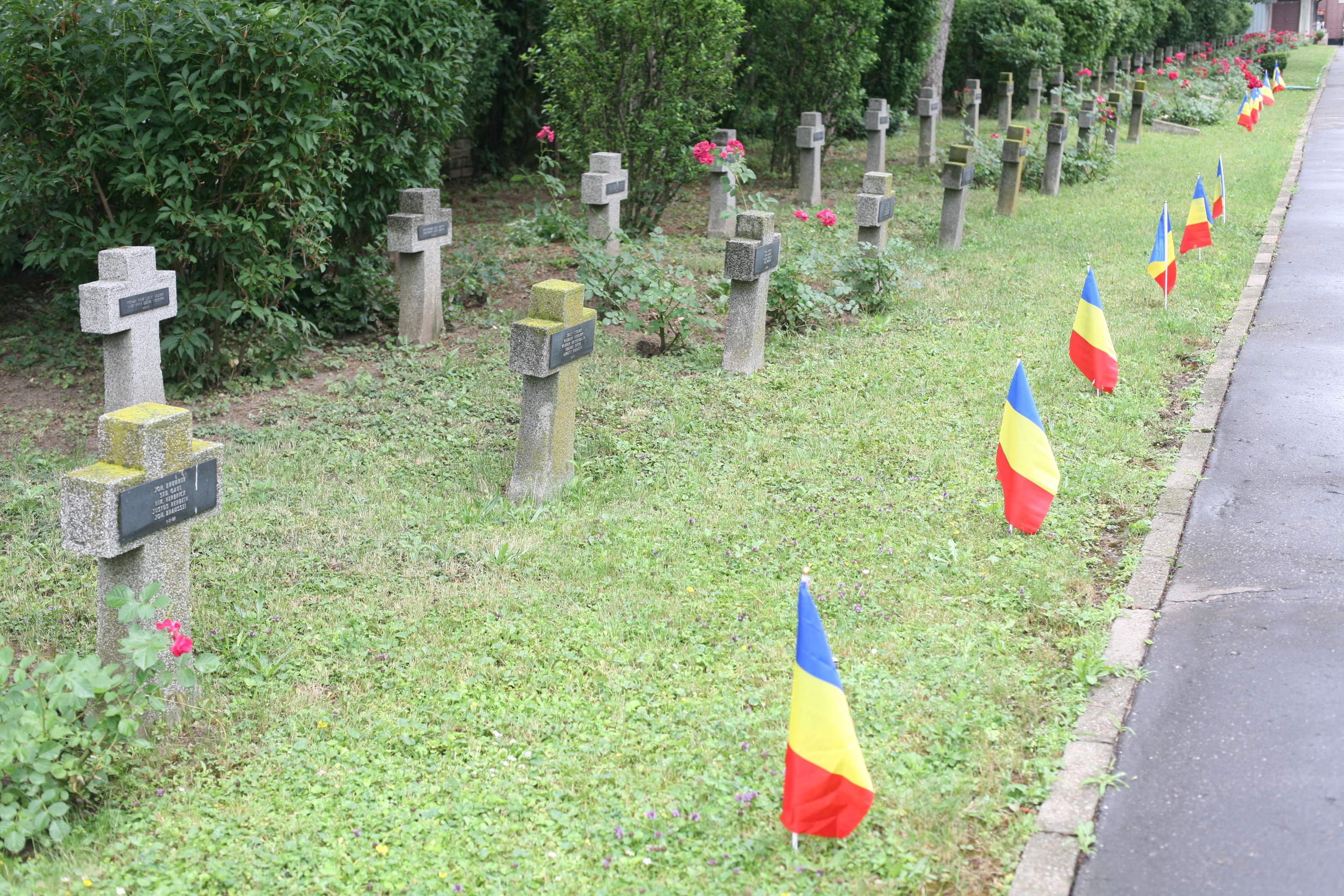 Participarea doamnei secretar de stat Otilia Sava împreună cu grupul de voluntari INVICTUS, la Cimitirul de ostaşi Pro Patria cu ocazia Zilei Drapelului Național - 26 iunie 2015