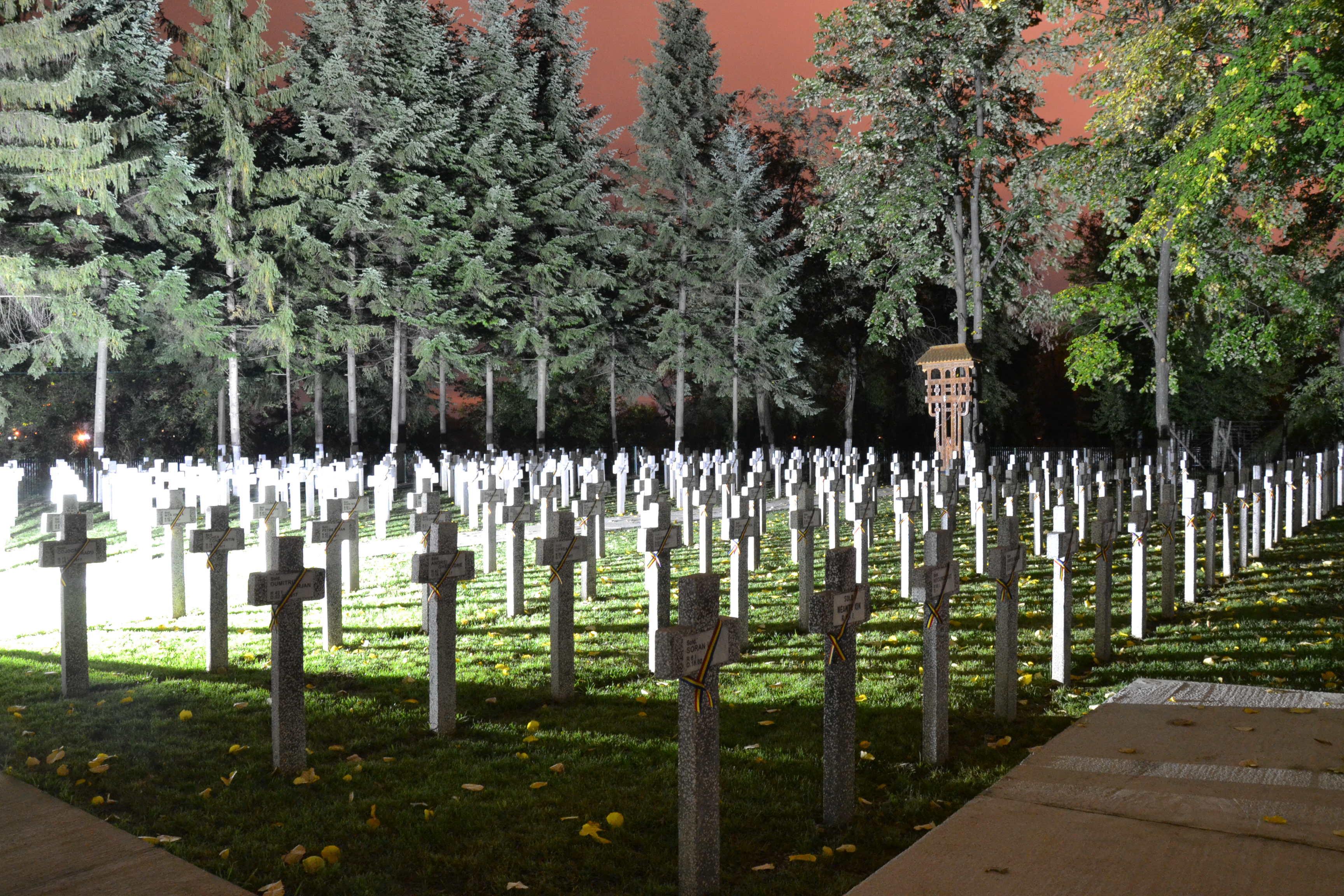 Participarea doamnei secretar de stat Otilia Sava la Ceremonia de reinaugurare a Cimitirului de Onoare Românesc Teiş-Târgovişte 22 octombrie 2015