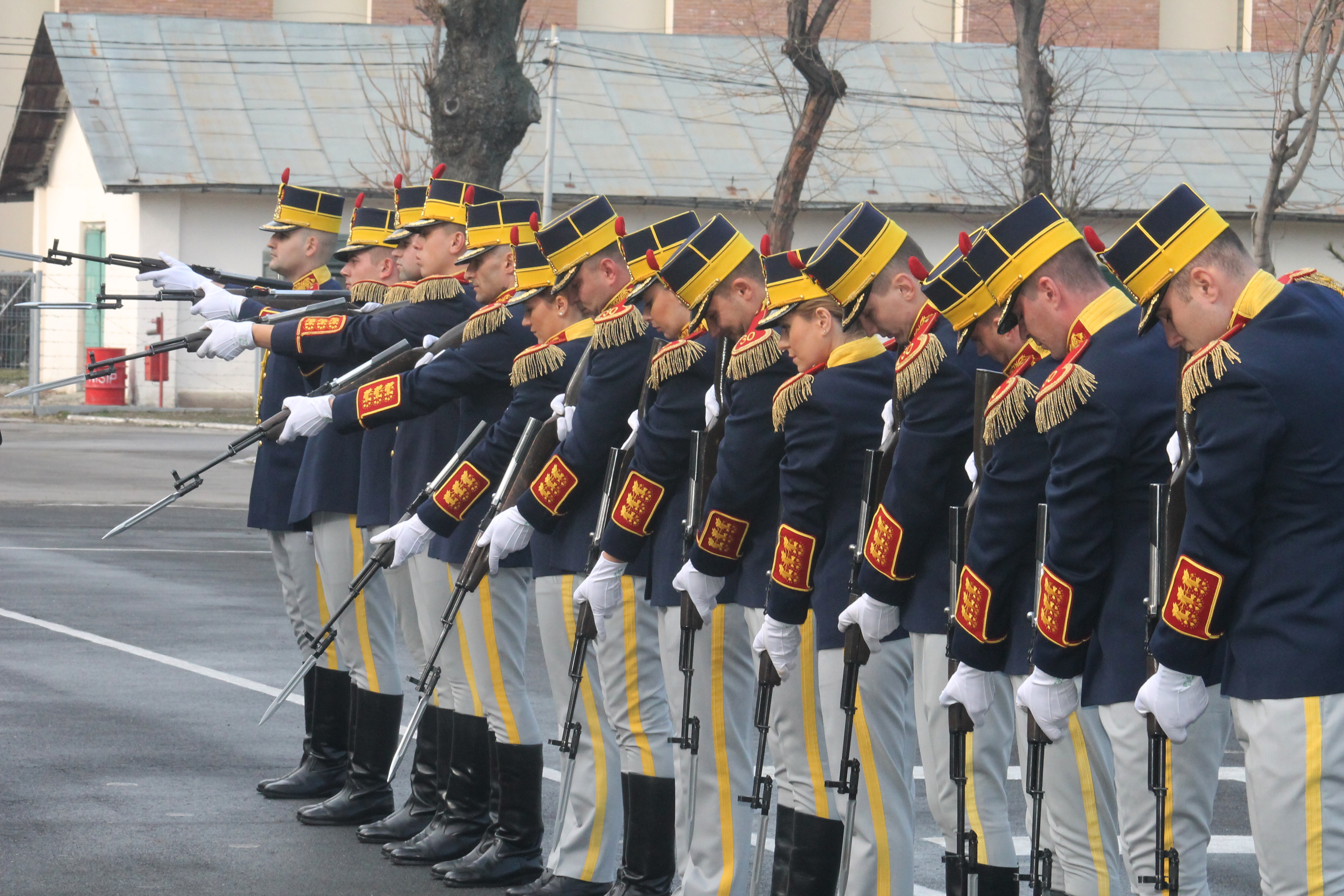 Întâlnirea doamnei secretar de stat Otilia Sava cu domnul general maior 'rtr.' Viorel Cosma şi militarii din Brigada 30 Gardă 'Mihai Viteazul' - 03 februarie 2016  'Meeting of the State Secretary Otilia Sava with general major 'retired' Viorel Cosma, toge