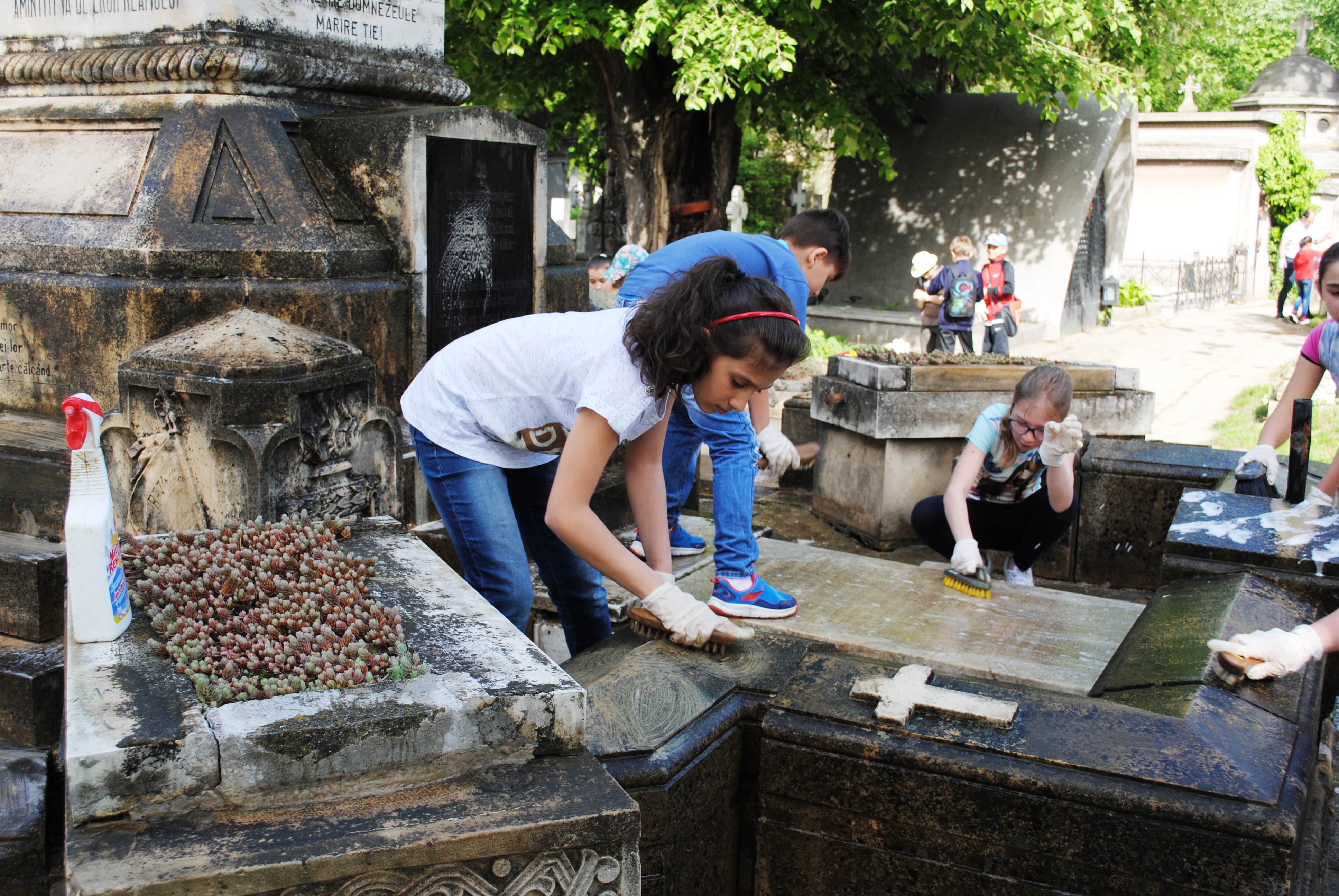 Campania 'Un erou - o floare', Cimitirul Bellu - 18 aprilie 2016 'The campaign – “A hero - a flower” at the Bellu Cemetery – April 18, 2016'