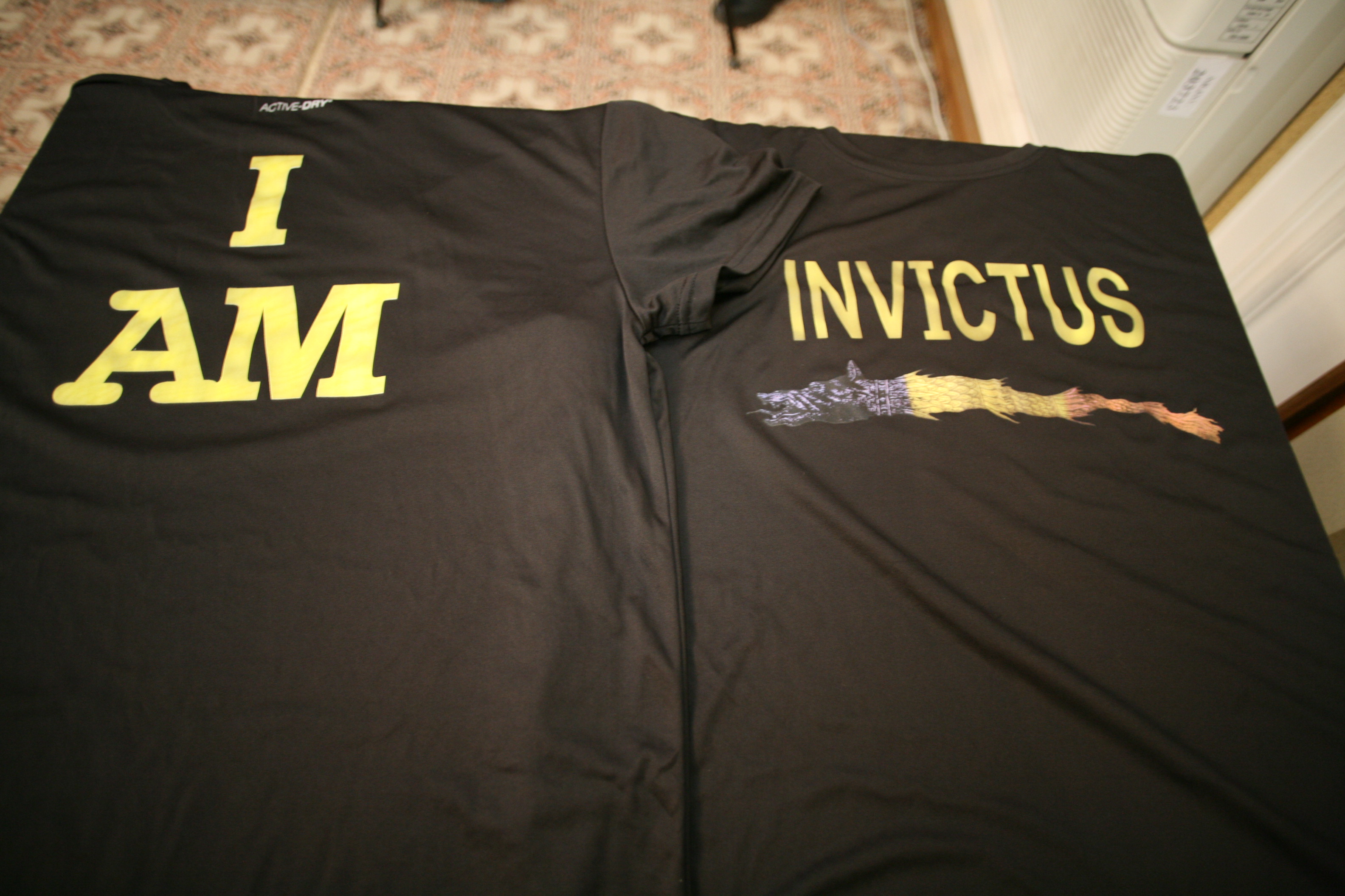 Activitatea I AM INVICTUS - Întâlnire cu membrii grupului INVICTUS - 26 februarie 2015